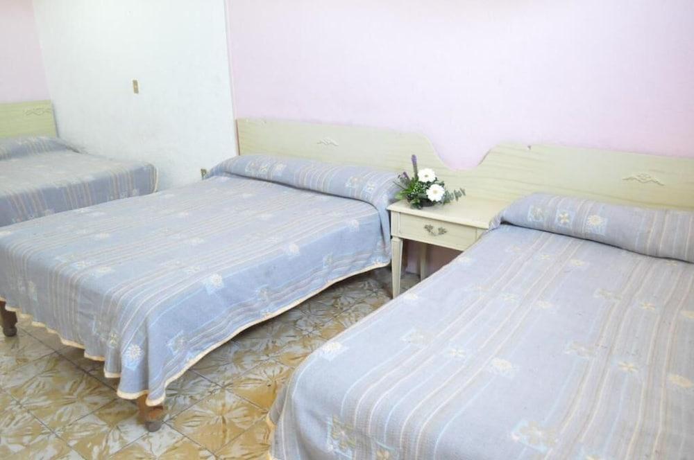 Hotel Viena Irapuato Esterno foto