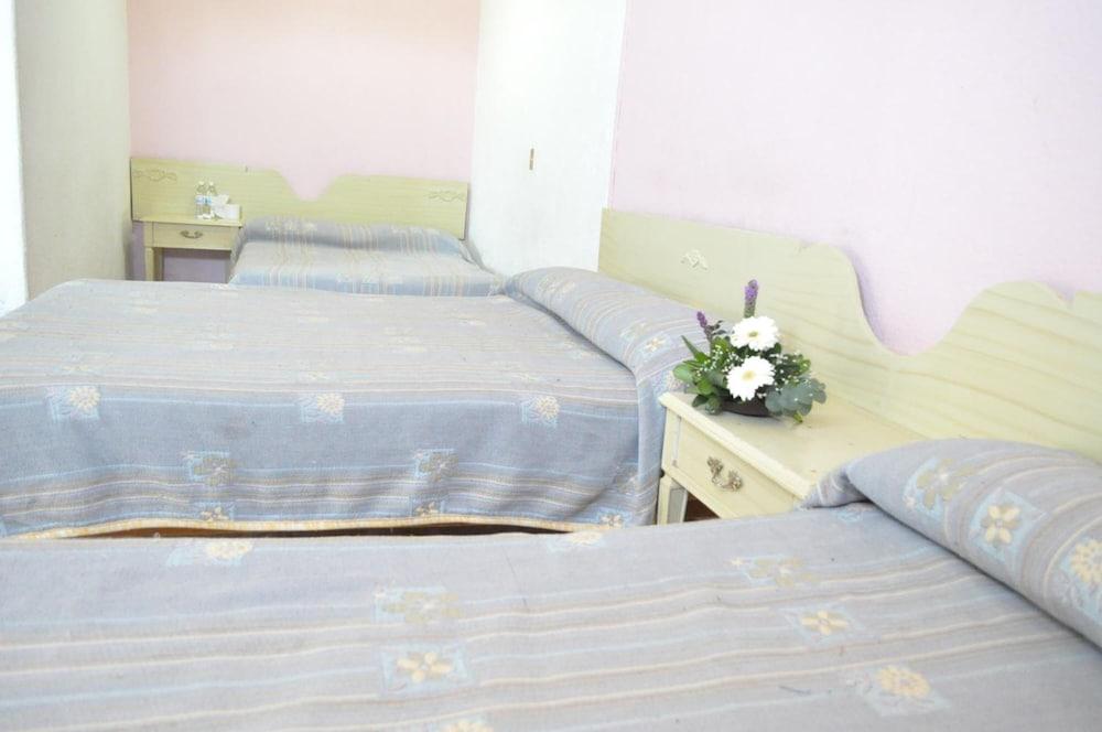 Hotel Viena Irapuato Esterno foto