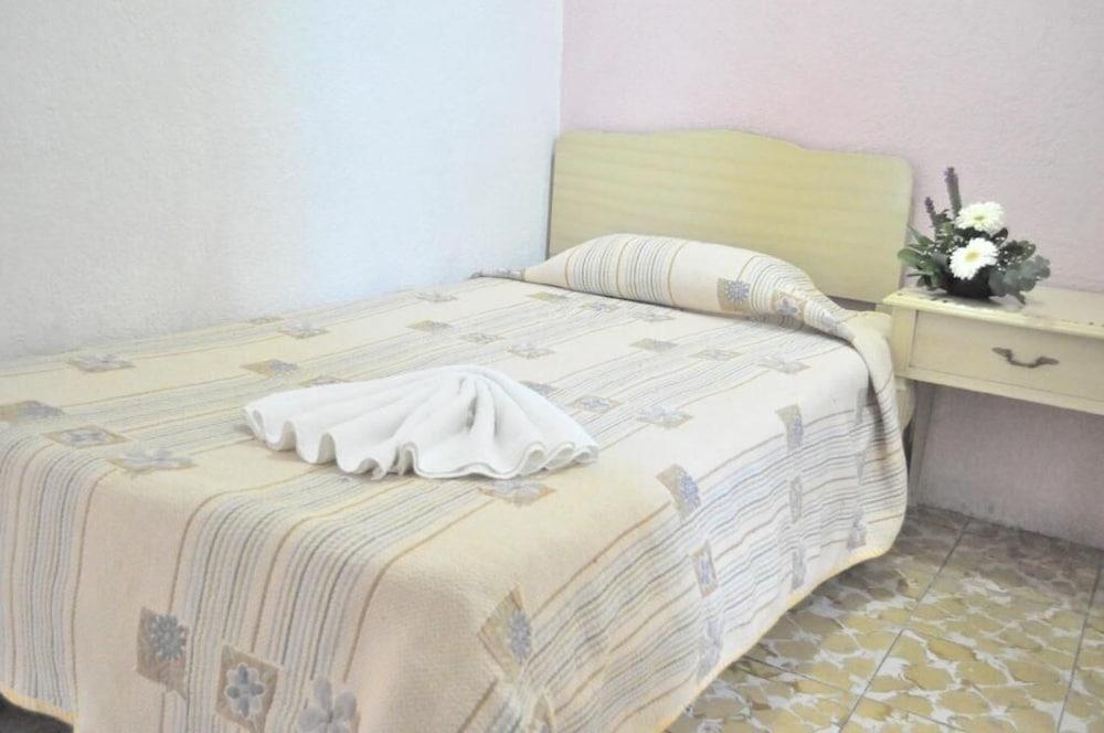 Hotel Viena Irapuato Esterno foto