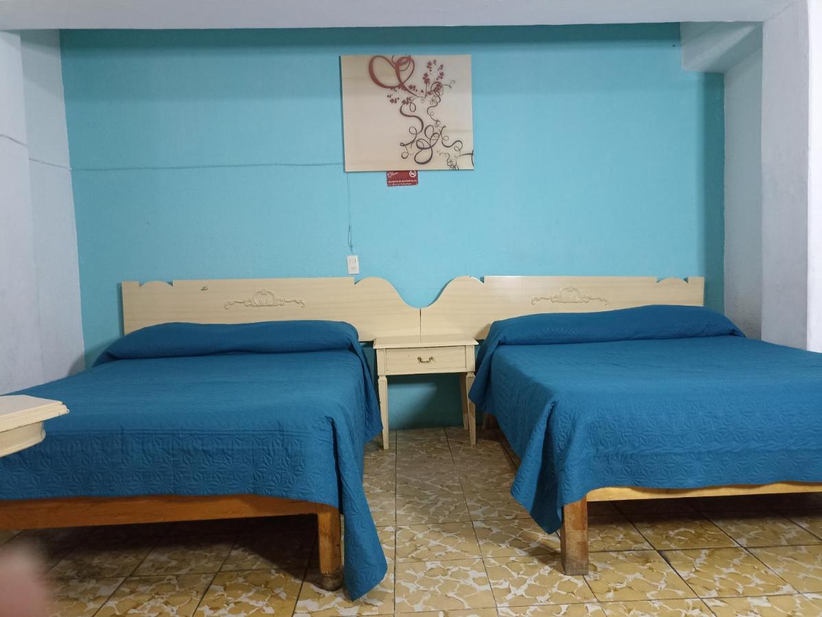 Hotel Viena Irapuato Esterno foto